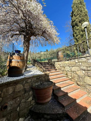 Agriturismo Tassinaia Pontassieve